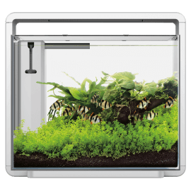 SUPERFISH HOME 45 AQUARIUM BLANC