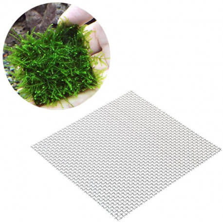 Grille Inox 7,5X7,5cm - Support pour mousses aquatiques et plantes  (microsorum, bolbitis, anubias, vesicularia, taxiphyllum)