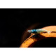 Crevette Caridina Cantonensis Taïwan Bee Blue bolt grade A-S