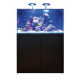 BLUE MARINE REEF 350 NOIR KIT COMPLET