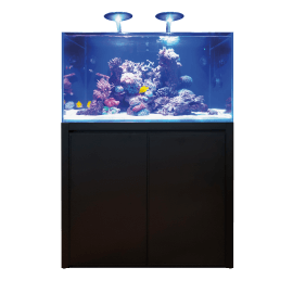 BLUE MARINE REEF 350 NOIR KIT COMPLET