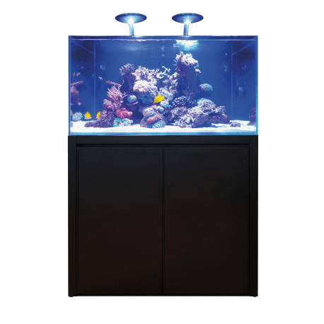 BLUE MARINE REEF 350 NOIR KIT COMPLET