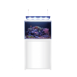 BLUE MARINE REEF 200 BLANC KIT COMPLET