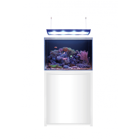 BLUE MARINE REEF 200 BLANC KIT COMPLET