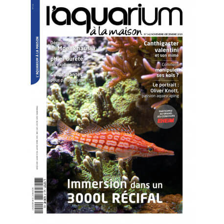 Aquarium à la Maison N°142 - Immersion dans un 3000L récital