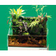 DOOA Tropical River Soil 2L