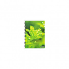 ADA Carnet de notes"Hemianthus micranthemoides"