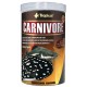 Tropical Carnivore