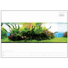 ADA NA Calendrier 2021 'Beauty of Nature Aquarium'