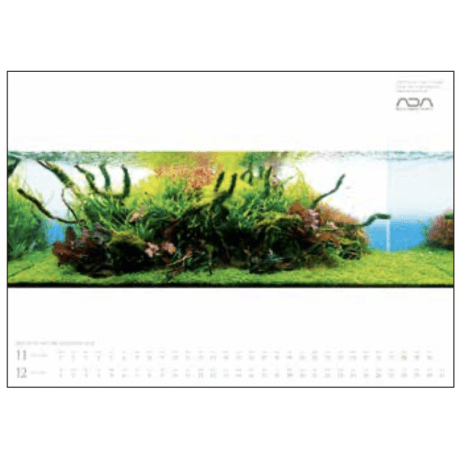 ADA NA Calendrier 2021 'Beauty of Nature Aquarium'