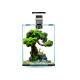 AQUAEL AQUARIUM SHRIMPSET NOIR 10L SMART Day & Night - Aquarium Nano