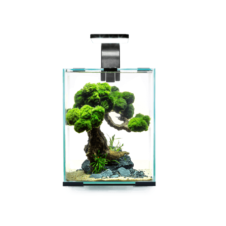 AQUAEL AQUARIUM SHRIMPSET NOIR 10L SMART Day & Night - Aquarium Nano