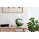 AQUARIUM EQUIPÉ - AQUAEL AQUARIUM SHRIMPSET NOIR 20L SMART Day&Night 