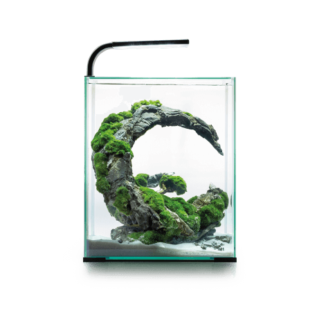 AQUAEL AQUARIUM SHRIMPSET SMART Day & Night NOIR 30L - Aquarium équipé