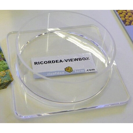 Riccordea Farm Ricordea-Viewbox