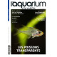 Aquarium à la Maison N°143 - Les poissons transparents