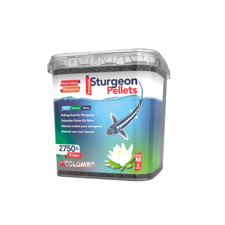 COLOMBO ESTURGEON FOOD 5L MEDIUM