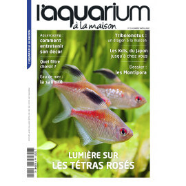 Aquarium à la Maison N°144 - Les Titras Rosés