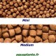 Hikari Cichlid Gold Medium Coulant 100gr