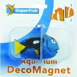 Deco Magnet Blue Tang