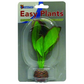 Plante Artificielle Echinodorus sp
