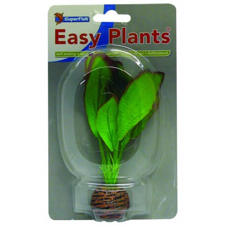 Plante Artificielle Echinodorus sp