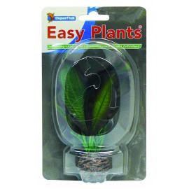Plante Artificielle Echinodorus sp 2