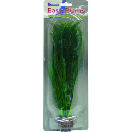 Plante artificielle Acorus sp