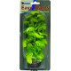 Plante Artificielle Hydrocotile sp