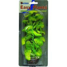 Plante Artificielle Hydrocotile sp