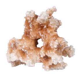 Aqua Della CORAL S
