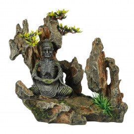 Aqua Della Bouddha sur rocher