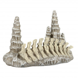 Aqua Della Stalagmite 2