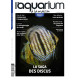 Aquarium à la Maison N°145 - La saga des discus