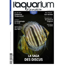 Aquarium à la Maison N°145 - La saga des discus
