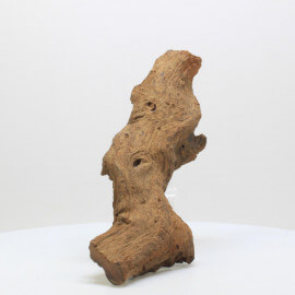 Racine Mopani - SAAFA8