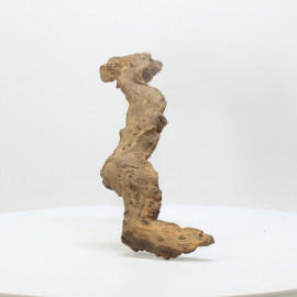 Racine Mopani - SATL3