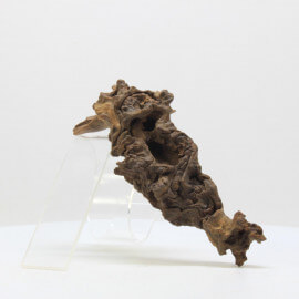 Racine Mopani - SATL7