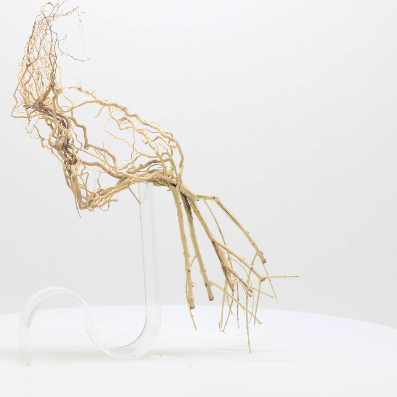 Racine décorative aquarium aquascaping