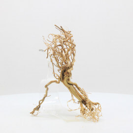 Racine Tree Roots - TRTDS116