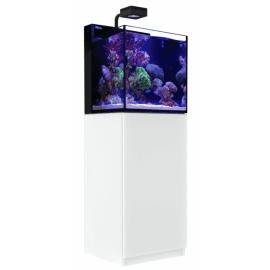 Red Sea Max® Nano Complet (aqua + meuble) - Blanc