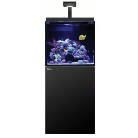 Max® E 170 LED - 1 ReefLED 90 avec Wifi - Noir