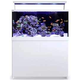 Max® S-500 LED - 3 ReefLED 90 avec Wifi - Blanc