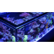 Red Sea Reefer™ S 850 G2+ Noir (Aquarium + meuble)