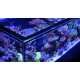 Red Sea Reefer™ S 1000 G2+ Noir (Aquarium + meuble)