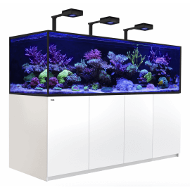 Red Sea Reefer™ S Deluxe 1000 G2 Blanc (Aquarium + meuble)