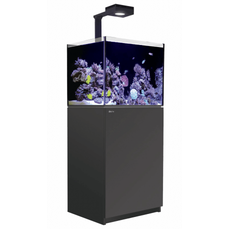 Red Sea Reefer™ Deluxe 170 G2+ Noir (Aquarium + meuble + 1 ReefLED 90 + 1 potence)