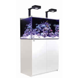 Red Sea Reefer™ Deluxe 250 G2+ Blanc (Aquarium + meuble + 2 ReefLED 90 et 2 potences)