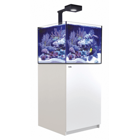 Red Sea Reefer™ Deluxe XL 200 G2 Blanc (Aquarium + meuble + 2 ReefLED 90 et 2 potences)
