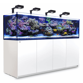 Red Sea Reefer™ Deluxe 900 G2+ Blanc (Aquarium + meuble + 4 ReefLED 90 et 4 potences)